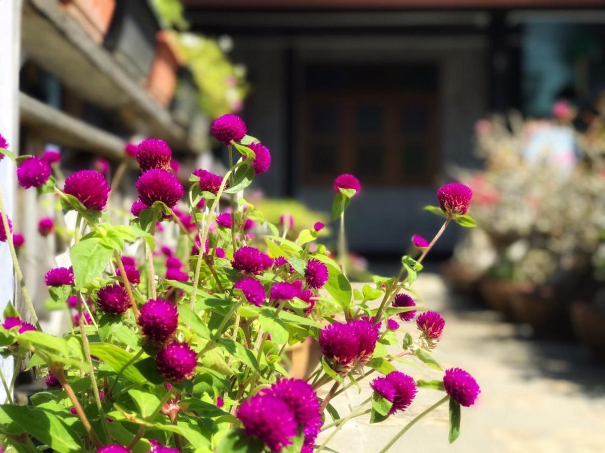 Hotel Mangrove House Lanta Old Town Ko Lanta Exterior foto